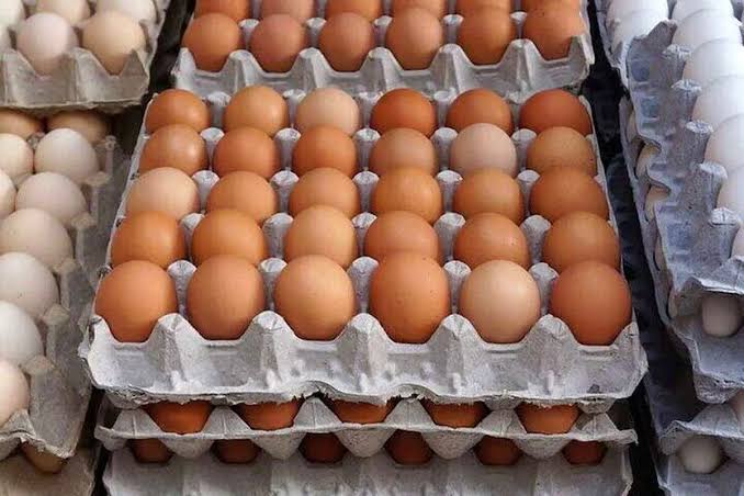 تخم‌ مرغ 600 هزار تومان