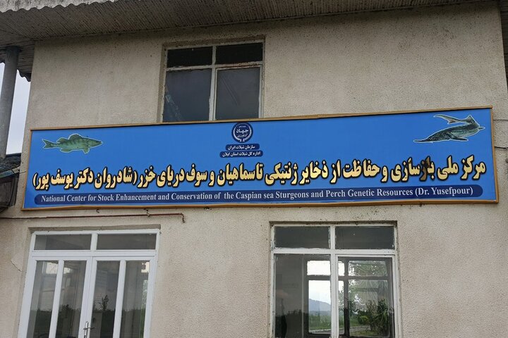 مسئولان پاسخ دهند؛ چرا گیلان با این همه ظرفیت کاسپین، هنوز قطب تولید آبزیان کشور نیست؟