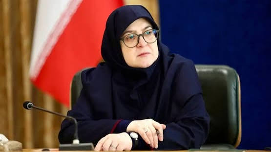 مهاجرانی: مبلغ کالابرگ حتما افزایش می‌یابد/ برنامه‌ای برای افزایش حقوق کارکنان دولت نداریم
