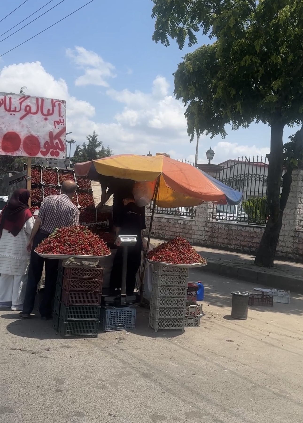 ورودی‌های رشت؛ ویترین گردشگری یا نماد رهاشدگی مدیریتی؟ / سوالات بی‌پاسخ از مدیران استان درباره بی‌نظمی در جاده‌های ورودی
