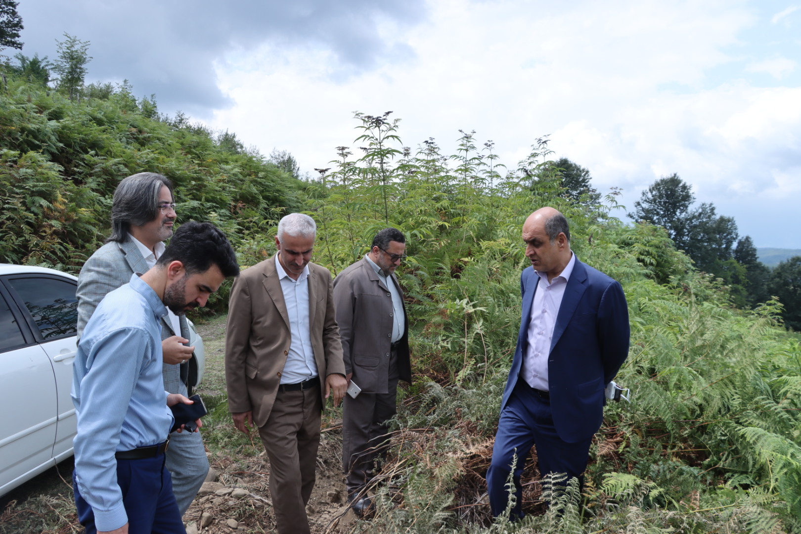 ۹۱ هکتار احیا با همراهی مردم؛ «بانی جنگل» الگویی برای حفاظت پایدار منابع طبیعی گیلان