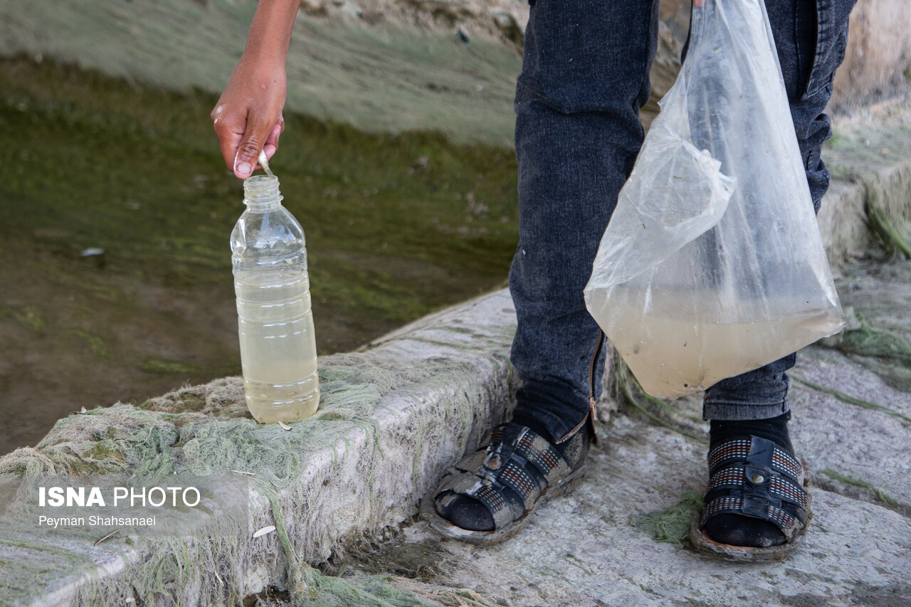 مرگ حیات در زاینده‌رود