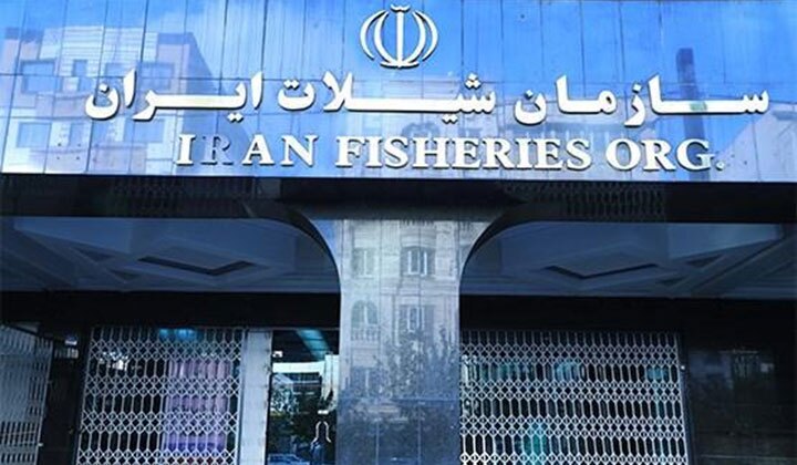مسئولان پاسخ دهند؛ چرا گیلان با این همه ظرفیت کاسپین، هنوز قطب تولید آبزیان کشور نیست؟
